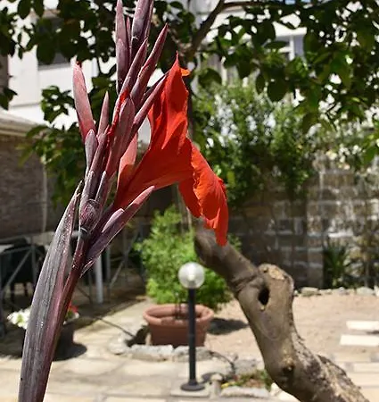 Nonno Uccio Konukevi